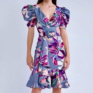 PatBO Iris Floral Print V-Neck Belted Ruffle Mini Dress - Size 4
